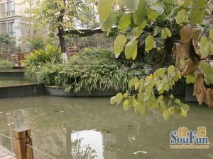 林庭叠院3室2厅南