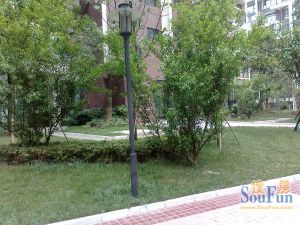 金强大学城3室2厅西南