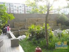 龙锦 2室2厅 西南