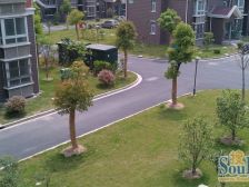 近地铁 现场实勘 中间楼层,必看好房