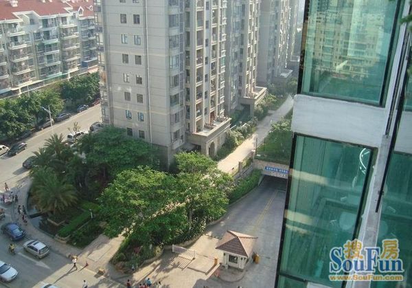 阳光美地实景图