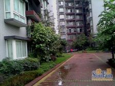 谢家湾 谢家湾正街三房70万