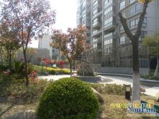 高品质小区,淞宝无竞品,飞机户型带车位