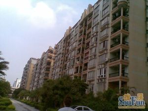 岐丰广场 采光充足 通风透气 楼下就是岐丰市场