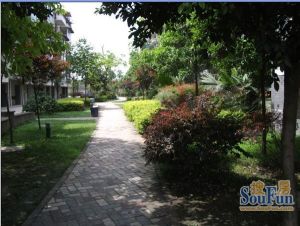 花半里 4室2厅 东南