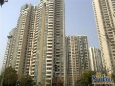 枫景大三房!南北通透,户型方正,视野开阔,诚意出售