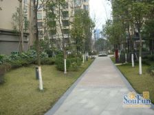 熙岸 4室2厅 东南 南