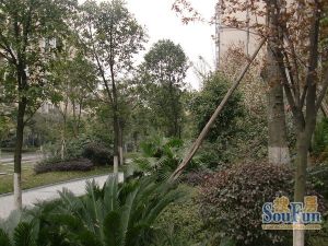 林庭叠院3室2厅东南