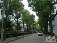 中间楼层双南房,位置好,美丽家园小区