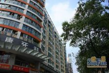 凯悦新城1室1厅东南