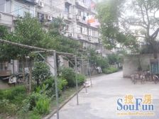 美丽家园小区,边套全明户型,正规3房,总价低,诚意