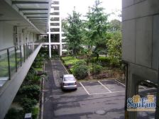 置信逸都城市会所 1室1厅 南