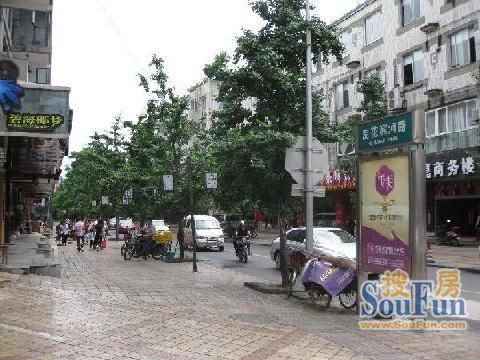 浣花长乐坊实景图