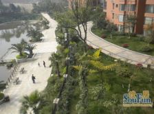 比华利国际城一期 3室2厅 东南