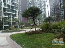 金强大学城 3室1厅 西北 东北