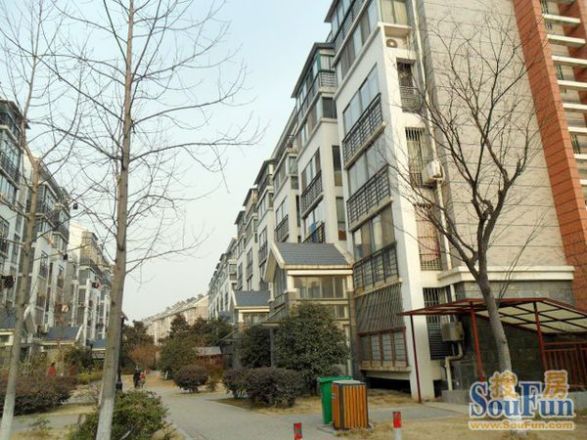 新城佳园实景图