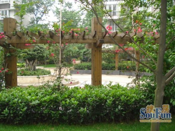 【成都卓锦城三期小区,二手房,租房】- 成都房天下