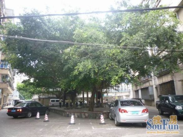 市政府宿舍实景图