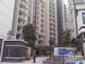 全新现代风格装修,格局方正,视野开阔