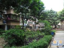 金桂花园电梯房 拆光充足 户型方正 业主诚意出售