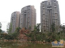 新世纪星城南向三房 保养好 看房方便