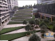 财富中心 1室1厅 南