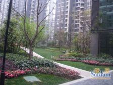 城南晶座 1室1厅 东