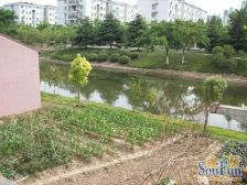 一梯四户,大开间,品质小区,居家装修,诚意出售