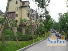 大渡口晋愉岭海装修洋房南北朝向不临街