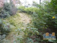 保利高尔夫花园独栋,大花园视野好