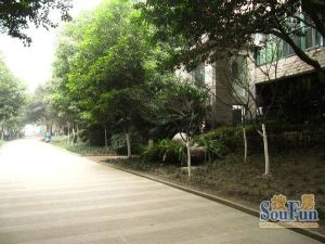 水岸格林 2室2厅 南