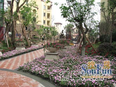 小区相关图