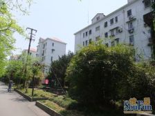 竹园新村(浦东) 2室1厅 南 西南