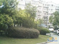 北蔡·莲琼苑·3室·2厅