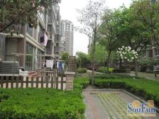 阁楼加露台,边套全明,位置好!