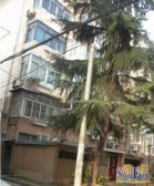 带院子,老装修,价格可以谈,有车位,看房方便