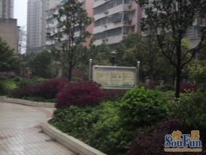 南郊公园旁标准好楼层两房视野开阔