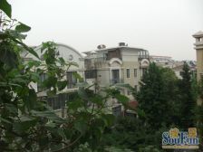 近莘庄精装联排中间套,花园大,房型好,地段好,业主诚售价可谈