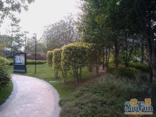 房子采光好,望湖 楼下就是千灯湖公园.小区环境优美