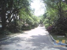 春天大道 2室1厅 南