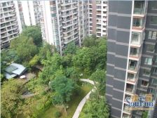 优品道央作 3室2厅 南 北