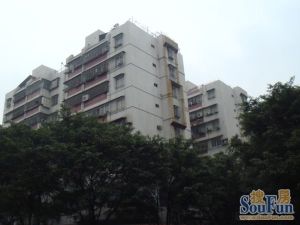 免佣税费低全新精装品质户型正南正北大阳台