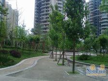 尚西花郡 3室2厅 东