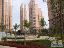 金河丽园 2室2厅 南 北