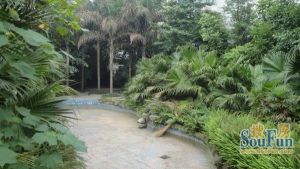 黄金海岸 4室2厅 南