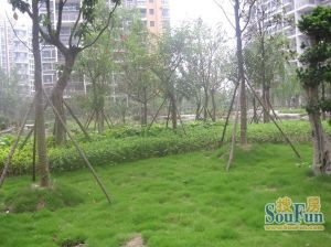 师大现代花园2室1厅西