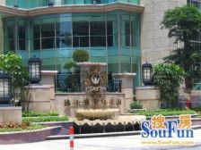 雅居乐花园 厅有二层 天台大花园 采光好 实用高