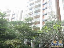 电梯四房 汇银城市花园 客厅圆形落地窗