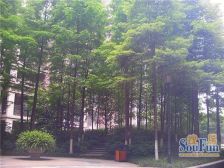 绿地紫瑞里 3室2厅 东