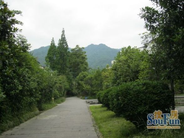 四季青城实景图